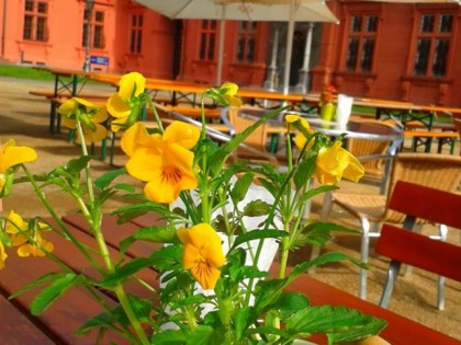 Photo: Schlossbiergarten im Kurf&amp;uuml;rstlichen Schloss Mainz